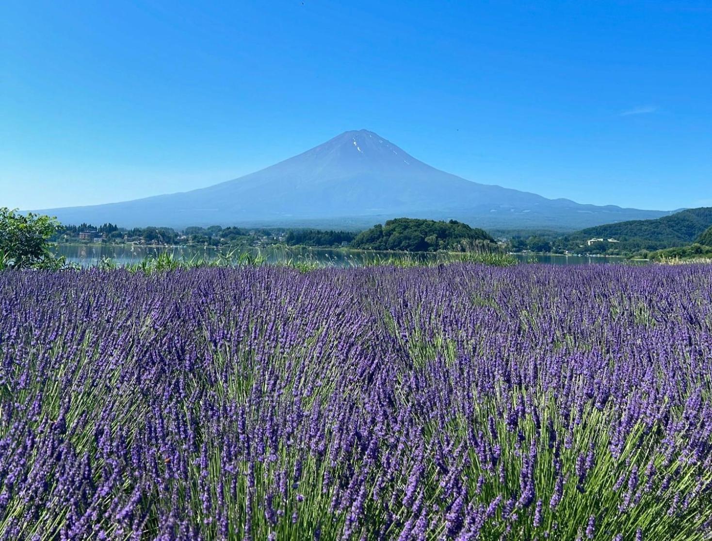 Holiday Home Furinkazan 風林火山 فوجيكاواجوتشيكو المظهر الخارجي الصورة